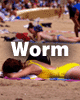 worm.gif